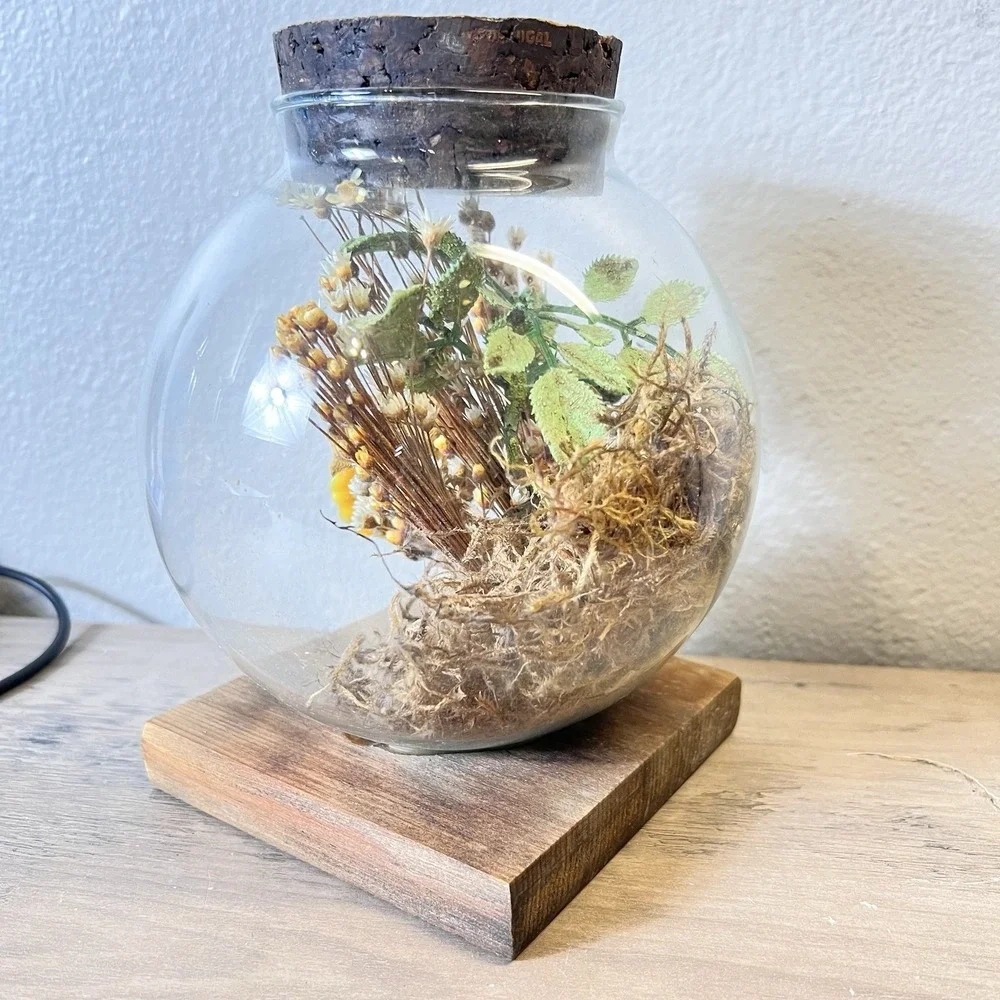 Vtg Leonard‎ Creations Glass Terrarium Dome Dried Flowers Wood Base California